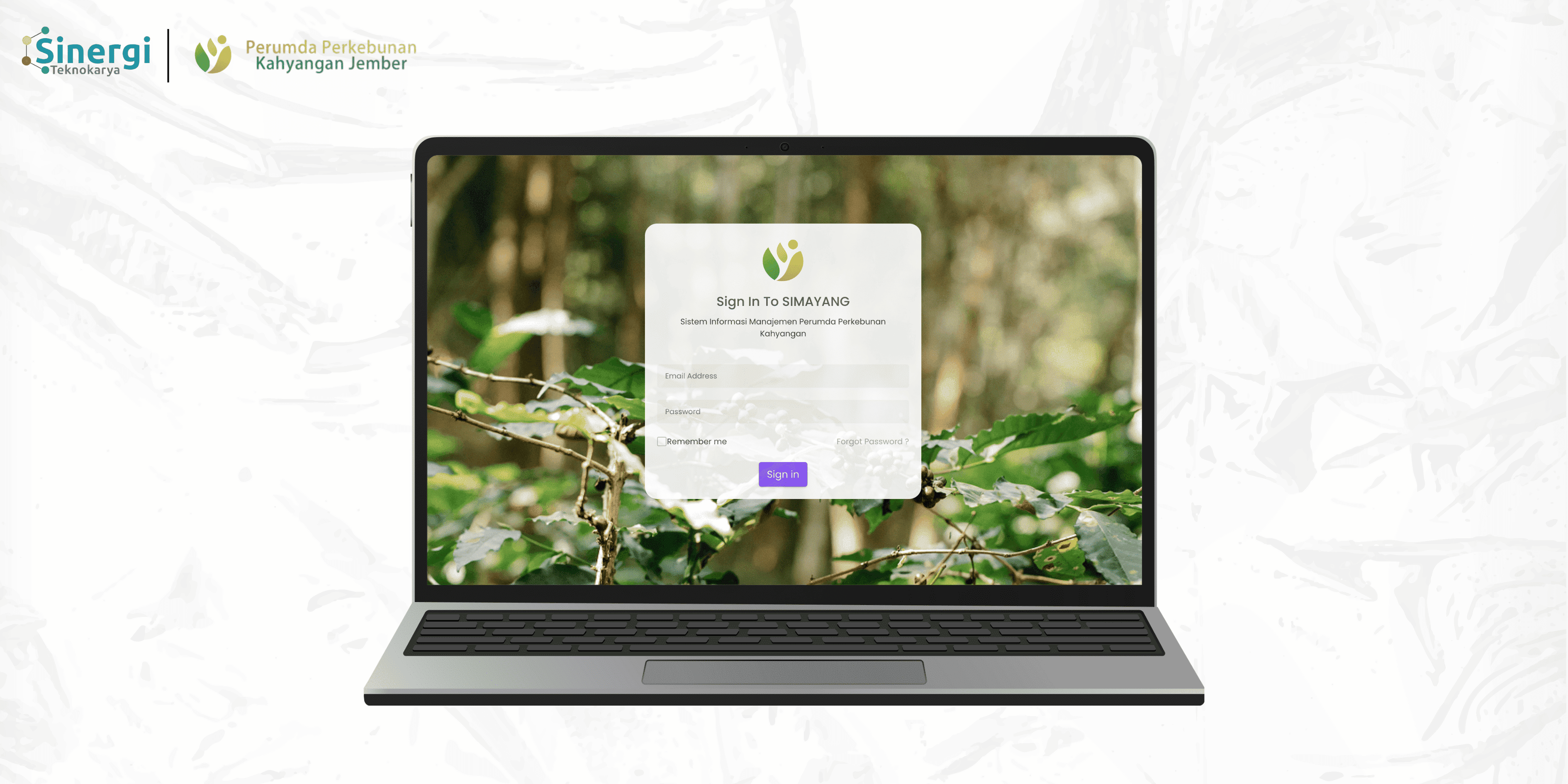 Landing Pages PDAM