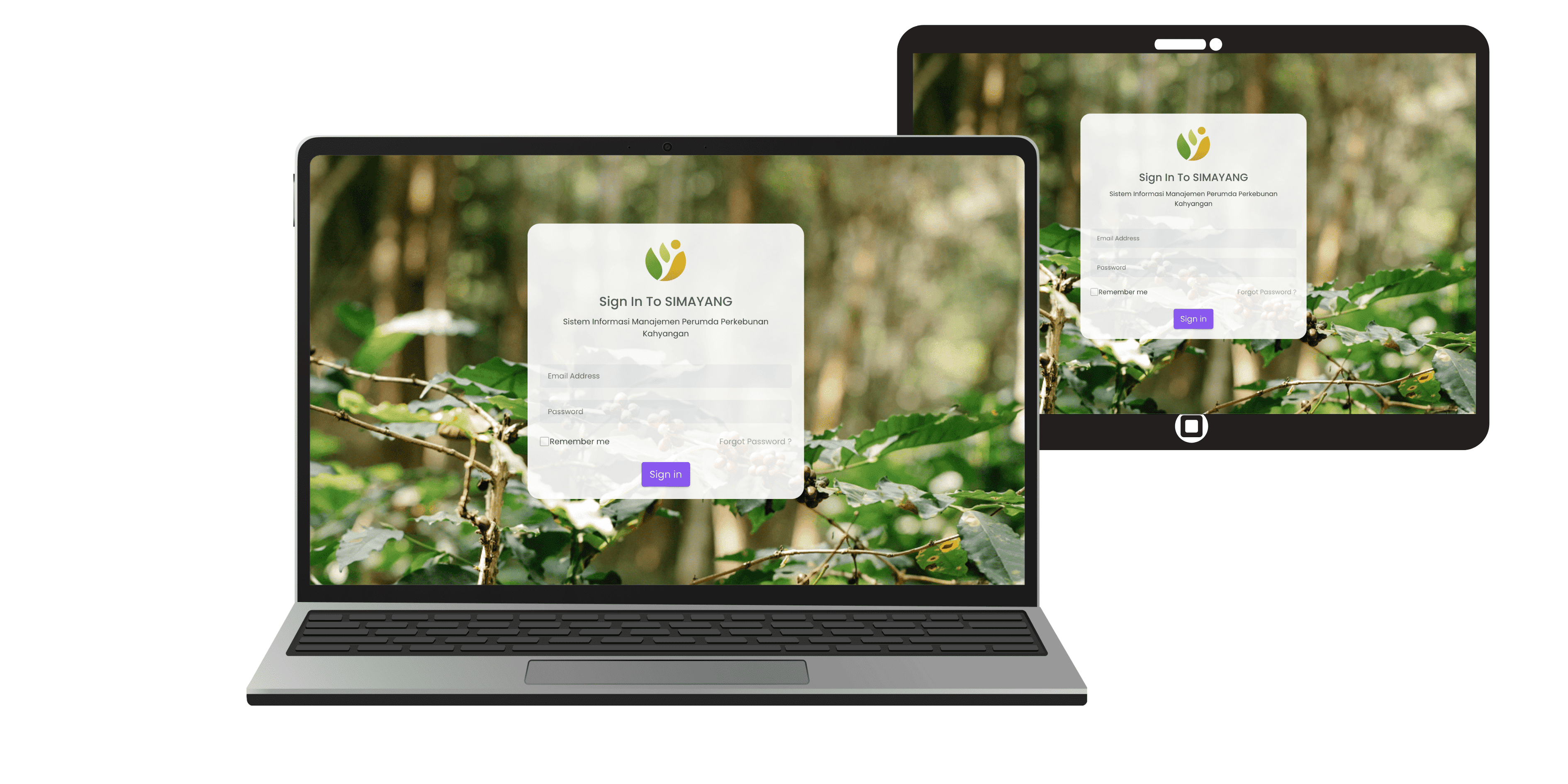 Simayang Website